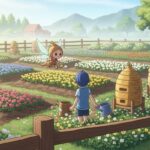 【風のグランドバザール】Year2以降の準備：蜂蜜の安定供給を実現する養蜂システム