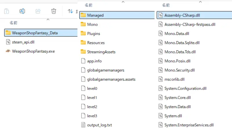 Weapon Shop Fantasy: 